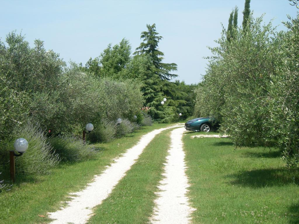 Bed and Breakfast Vista Assisi Exterior foto